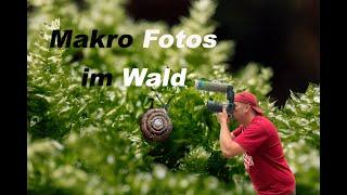 Makro Fotos im Wald, so mache ICH meine Bilder mit dem Canon 100mm ƒ 2.8 + Godox V1