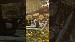 2000 stock tc 88 wide, glide Vance & Hines exhaust￼