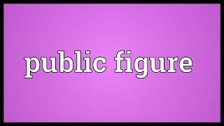 Public figure Meaning