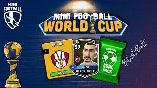 Mini Football - World Cup Tournament FINAL for Qatar Kit! Black Belt in a Goal Pack!