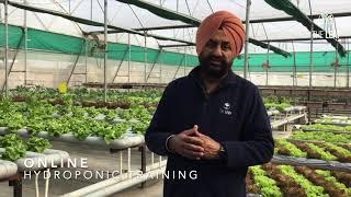 Online Hydroponic Training