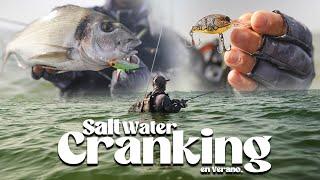 Guia Salt Water Cranking en Verano - TRAILER