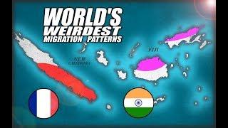 Fiji & New Caledonia: World's Weirdest Migration Patterns