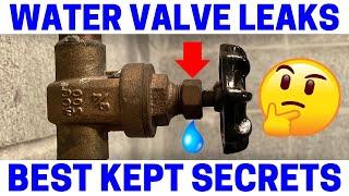 Leaky Water Valve - Easy Fix!