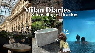 a week in Milan: shopping, eating, and how to travel with a dog internationally 