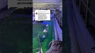 Поговорим о воде? #русалка #mermaid #sirena #русалочка #шоурусалок #корея #русалкавкорее