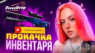 ПРОКАЧКА ИНВЕНТОРЯ WILD_LISS!!! ПРОКАЧКА ИНВЕНТОРЯ ПОДПИСЧИКА!!!