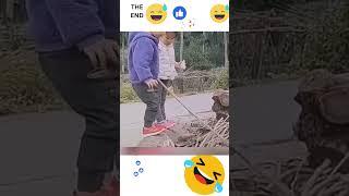 Try Not To Laugh Funny Video #074 #shorts #epicfails #trending