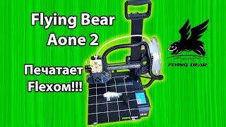 Flying Bear Aone 2   обзор и возможности печати 3D принтера