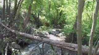 Where does gold deposit.  Finding gold on a small creek.