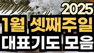 대표기도 예시ㅣ1월 주일예배기도 모음ㅣ1월 셋째주 대표기도문 모음ㅣ1월 3주 대표기도 예문ㅣ대표기도가 어려운분들을 위한 기도예시문ㅣ2025년 주일 예배 대표기도 준비