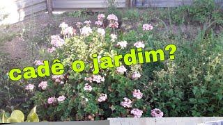 ##limpezanojardim ABANDONEI MEU JARDIM COMPREI ROUPA