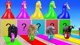 Long Slide Game With Elephant Gorilla Buffalo Hippopotamus Tiger 3d Animal Game Funny 3d Animals