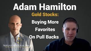 Gold Fever: Adam Hamilton Explores the Surge in Prices