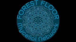 E:1 FOREST FLOOR™ Mycelial Network™ - Company Values: Adventure-Quest, Creativity, Contentment, Comm