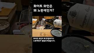 화이트 와인은 왜 노란색인가?