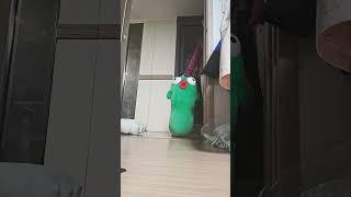 던지기 #유행열차 #구독