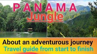 Ultimate Panama Jungle Adventure Tips, Trails & Travel Guide