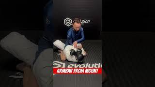Armbar From Mount
