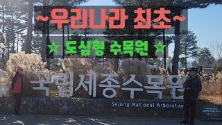 국내 최대 규모의 사계절전시온실 국립세종수목원 영상으로 겨울철에도 추천합니다. ㅣ수목원 ㅣ 세종수목원 ㅣ열대온실 ㅣ지중해온실 ㅣ특별전시온실 ㅣ꿀커플