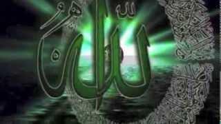 Islam & Life / اسلام و زندگی