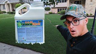 N-Ext™ Greene Kick for stressed Turf // N-Ext™ DIY Lawn Care Tips