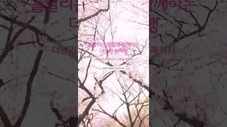 #벚꽃 #양양 #더앤리조트 #여행 #여행그램#힐링 #리조트 #여행스냅 #양양리조트 #온천 #스파 #힐링그램 #더앤리조트 #리조트 #스파
