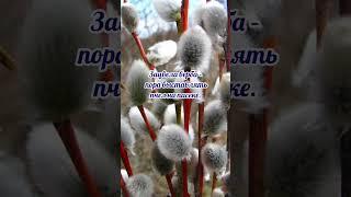 8 апреля# Гавриил Благовест# приметы и обычаи