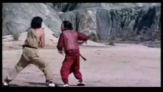 Jackie Chan vs Hwang Jang Lee- Snake In The Eagles Shadow End Fight [HQ].m4v