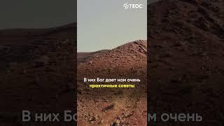 Мудрость Соломона | Третья книга Царств