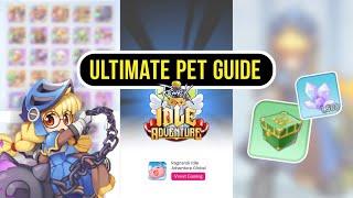 Ragnarok Idle Adventure / Ultimate Pet Tutorial