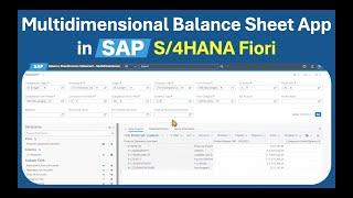 Multidimensional Balance Sheet Analysis App in Fiori explained (F3084)