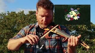 Svalbard - Liam Phelan - How To Swim Down Violin Playthrough