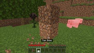 How To Get Infinite Wither Roses In Minecraft 1.17 Bedrock Edition #Shorts