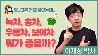 녹차, 홍차, 우롱차, 보이차는 뭐가 다를까? 뭐가 좋을까?