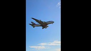 Incredible Landing Airbus A380