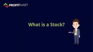 what is stock