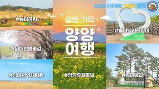[양양 EP.05] 고맙다! 양양! / 죽도해변 일출 / 송이밸리 자연휴양림 / 송이밸리 전망대 / 남대천 벚꽃길 / 송이조각공원 / 양양유채꽃밭/ 양양벚꽃 / 벚꽃명소