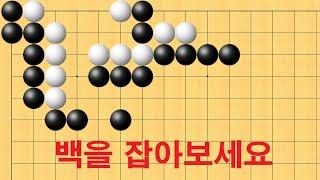 바둑 사활 - 기가막힌 묘수로 백을 모두 잡아보세요