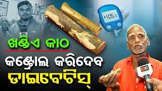 Diabetes Control In Baliyatra: ଏ କାଠର ପାଣି ପିଇଲେ କଣ୍ଟ୍ରୋଲ ହୋଇଯିବ ଡାଇବେଟିସ୍ | Odisha Reporter