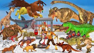 Epic Saber Tooth Tiger Deathrun vs Wild Animals Dinosaur Animal Revolt Battle Simulator