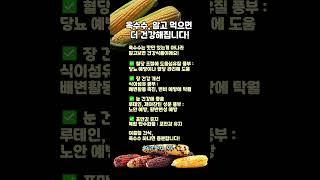옥수수, 그냥 먹지 마세요! 건강 챙기는 간식입니다 #옥수수효능 #여름간식 #눈건강 #장건강 #혈당조절 #쌩쌩라이프 #건강정보