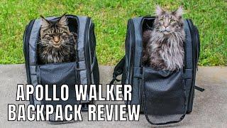 Apollo Walker Cat Backpack Review