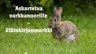 Askartelua varhaisnuorille - Eläinkirjanmerkki