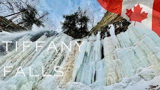 The Tiffany Falls Conservation Area