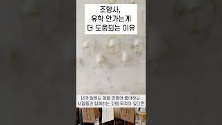 조향사에 관한 오해 : 프랑스, 일본 유학/화학과 나와야한다?/조향사자격증/후각 좋아야 한다?