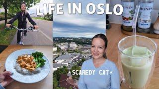 Facing My Fears: A Day In The Life Working 9-5 From Home In Oslo | Grocery Store, Cooking Dinner