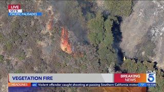 Vegetation fire consumes hillside in Pacific Palisades