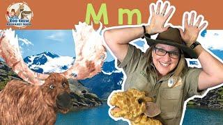 Zoo Crew Alphabet Show | Moose and Letter M