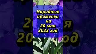 Народные приметы на 20 мая 2023 года